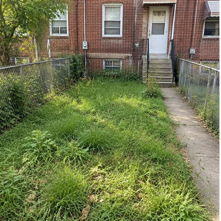 Baltimore Rowhouse Backyard, overgrown lawn before illustrative maintenance
