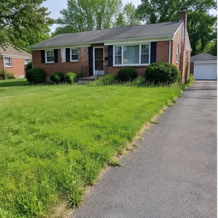 Baltimore County Residential Lawn, overgrown lawn before illustrative maintenance